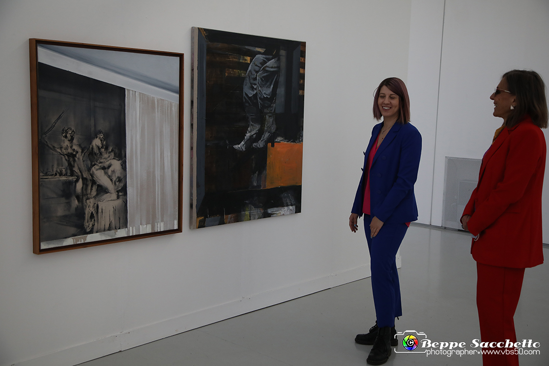 VBS_3405 - Mostra Personale Alessandro Scarabello.jpg